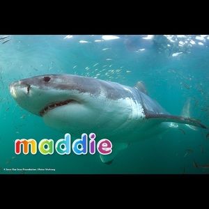 Meet your Posher, Madeline